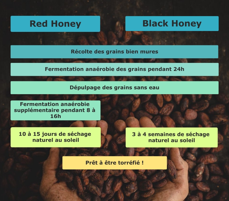 100% Arabica de Colombie - Red Honey
